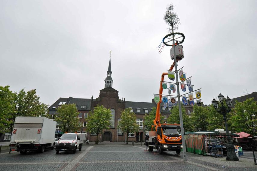 Maibaum schmückt den Marktplatz in Goch