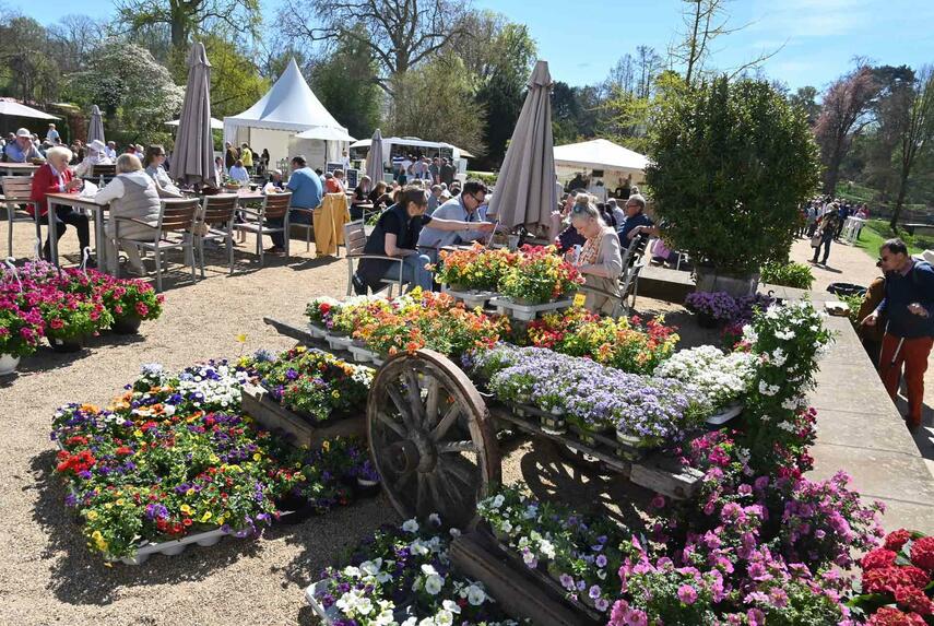 Endlich Frühling! Gartengenuss und Handwerkskunst in Schloss Dyck