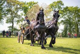 Mairitt im Niederrheinischen Freilichtmusem am 1. Mai - Vielfältiges Programm rund um die Dorenburg