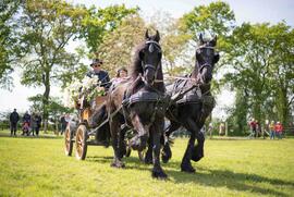 Mairitt im Niederrheinischen Freilichtmusem am 1. Mai - Vielfältiges Programm rund um die Dorenburg